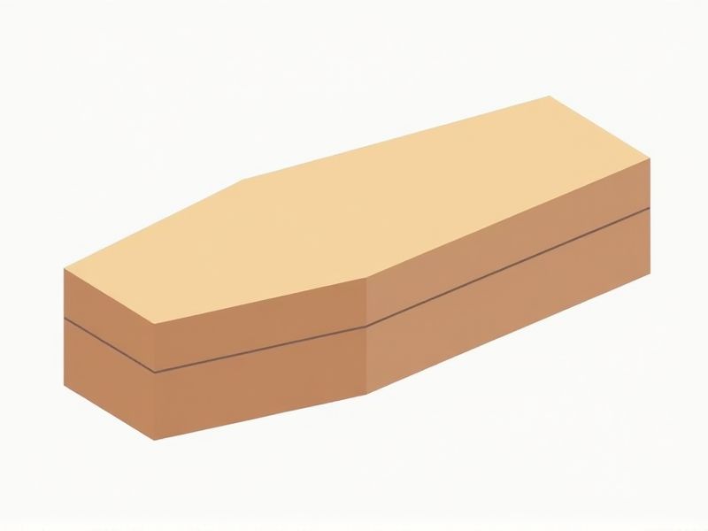 Guide to Casket Dimensions: Choosing the Right Size for Your Needs