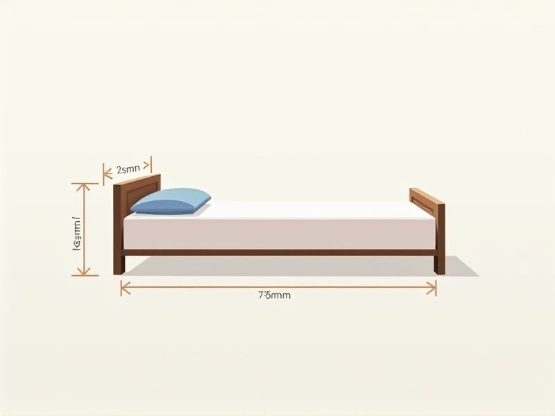 Single Mattress Dimensions Guide - How to Choose the Right Fit
